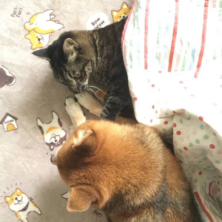 64eb365e f17d 4bfd 96be 494b6a35c7d0 1602461986759