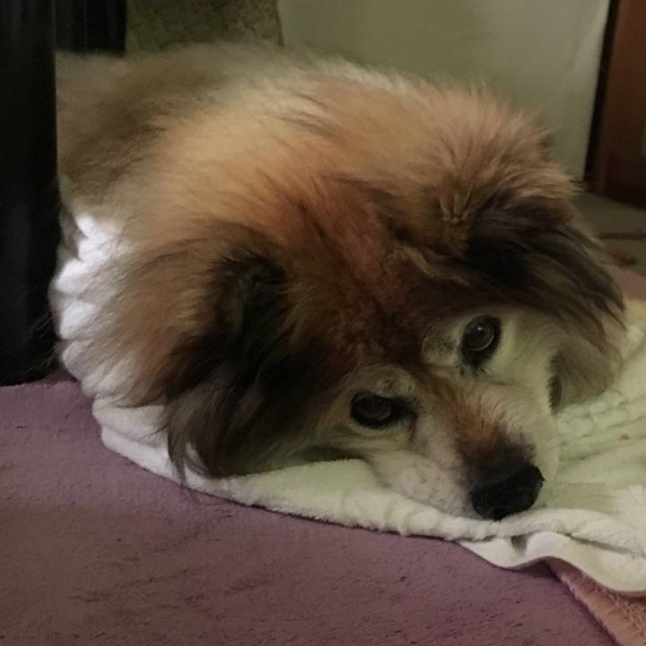 64eb5c41 b7d8 4e6f ab59 74c7cd14234b 1601129903387