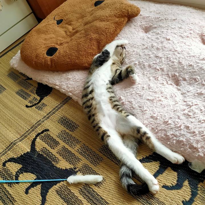 64eb5cae 84cb 409d 95b0 e3d8f8968aee 1627560801396