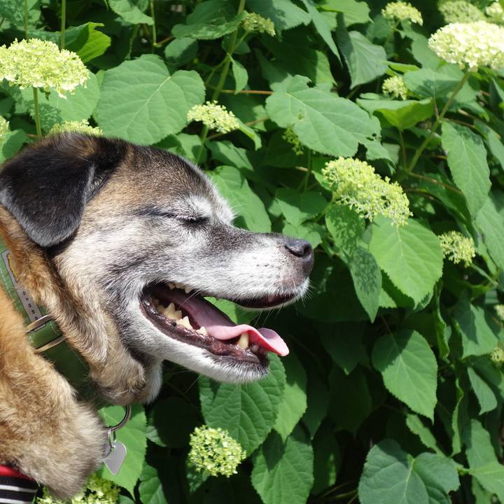 64eb5e47 9f43 4d04 bf5a d4c7ff32283d 1527211779850