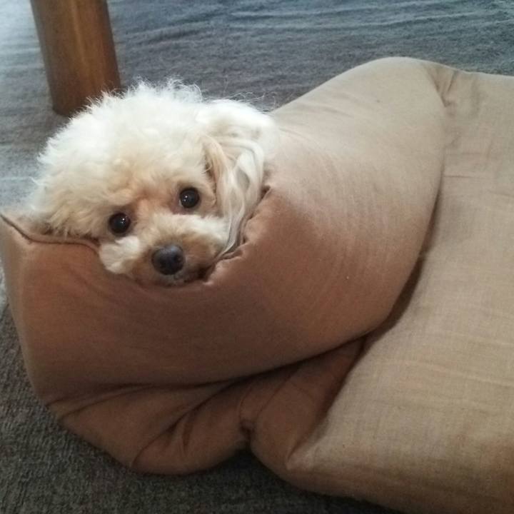 64ec0ab3 578c 467b 8f8f a0d991a93e3f 1532649987552