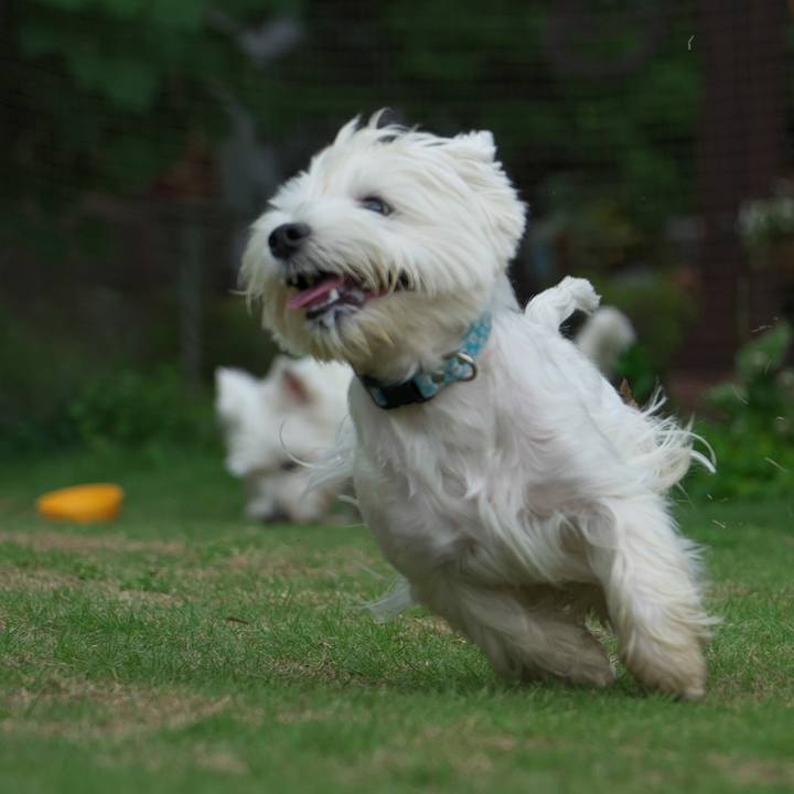 64ec1c23 e5f3 411e aad5 1dec1ba19273 1529377289641