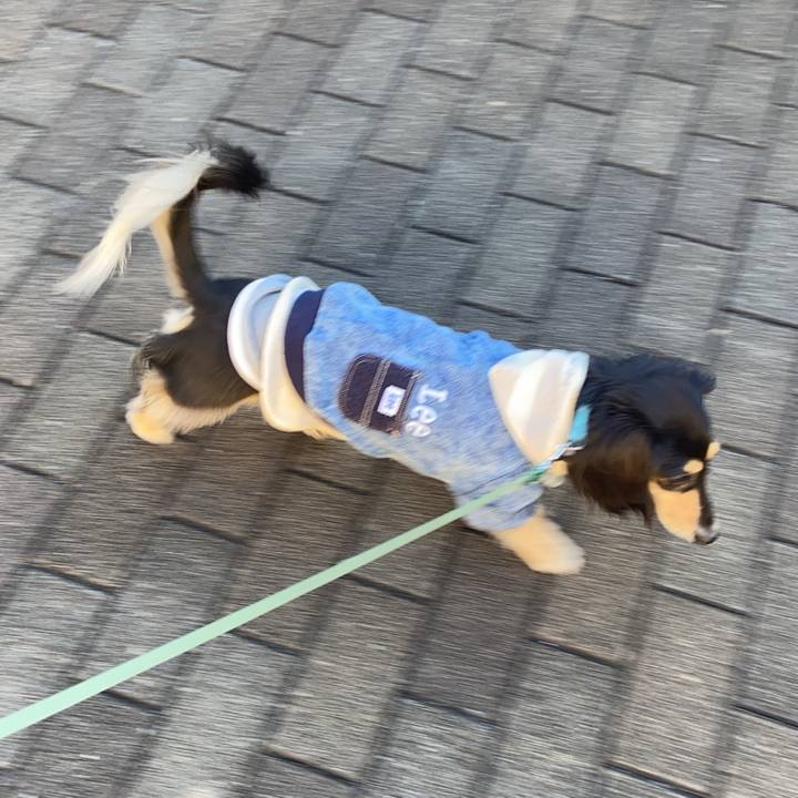 64ec44eb c291 4cb2 8ef0 a7c9f23d8f86 1734929215125