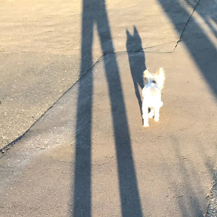 64ecb726 9546 4d9a 820b b481de6a9e9c 1758614921448