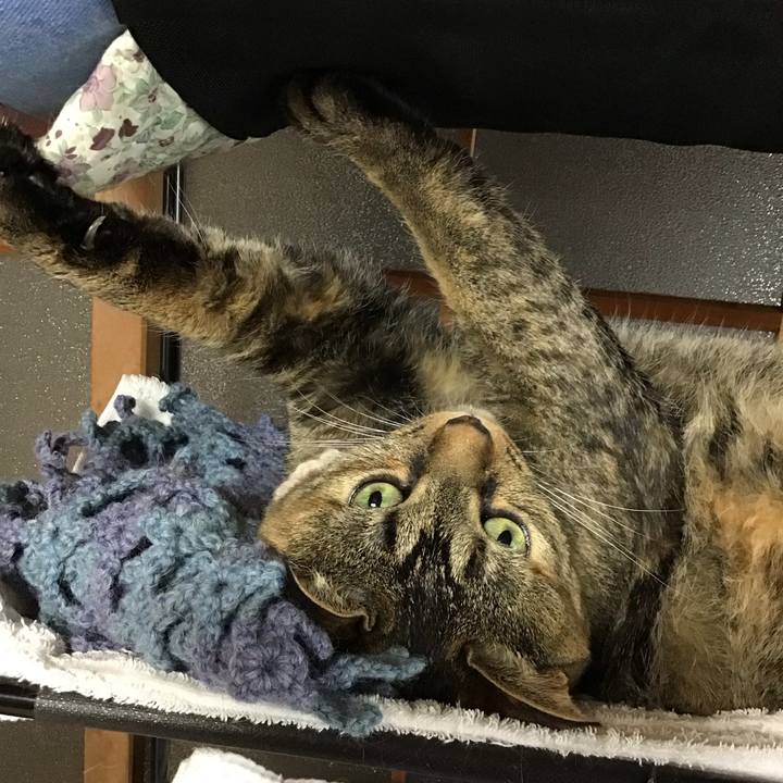 64ed03bd 1121 4b8a 94c4 675381e0432d 1721462631258