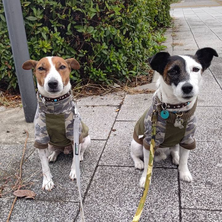 64ed1a81 57bc 4bf0 9b31 4cbdd6338937 1665615284967