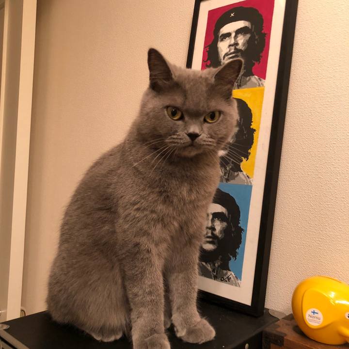 64ed27de 5e0c 40c7 b980 28a14dfa196c 1536846146768