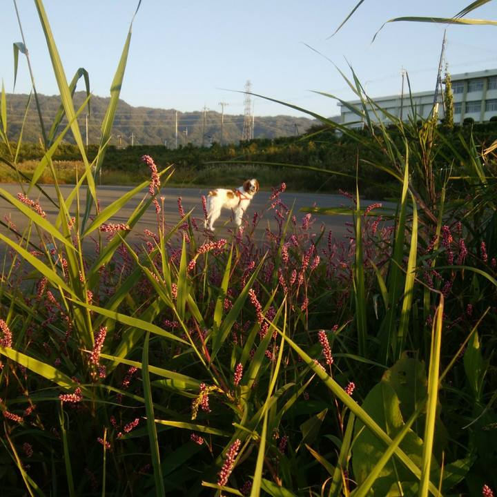 64ed27de 5e4f 42bc 8bea 922bc474f0b0 1540629439550