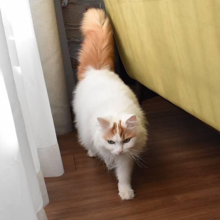 64ed325a a1df 4323 ad40 f10fd593953f 1770431134859