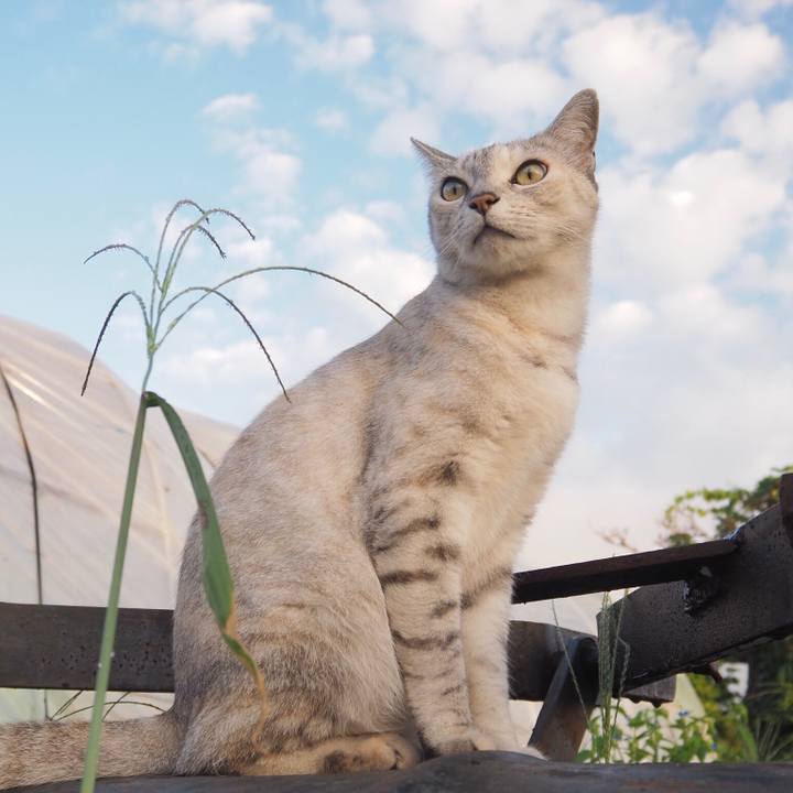 64ed6b00 2cfe 42b8 90b8 c30eb5d0a9dc 1765709895453