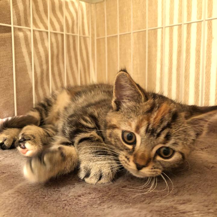 64ed70f0 3199 4e18 88a0 48952e48ead2 1576891425748