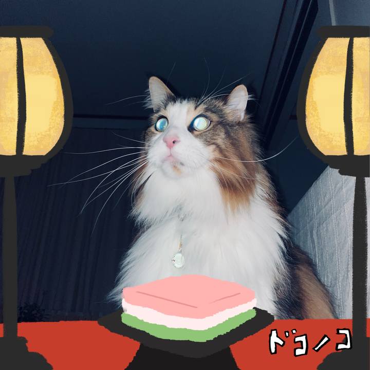 64edc1c4 e9cf 4e68 a040 fe080c5bad63 1741120092485