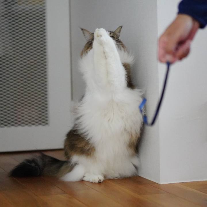 64edd0f9 1aef 4526 9937 cd625e7aa222 1699671956308