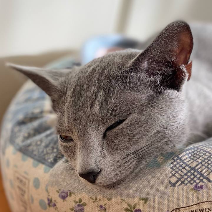 64edd14f 9e6a 498d 9e47 6f521d6735f0 1605329510911