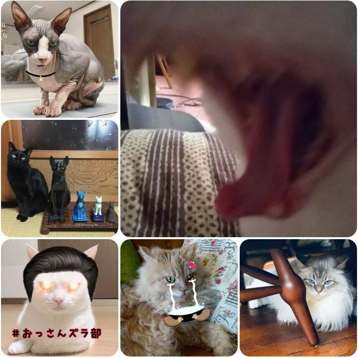 64edd9f8 36a5 4740 a9fe 521bfb6a5f70 1563180784206