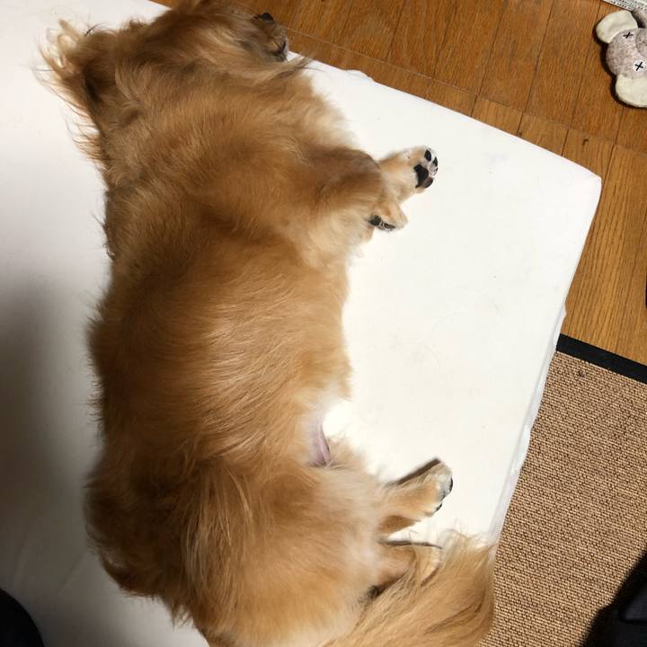 64ee3d55 bd8d 4f67 a7b4 bab5e3ddaf0e 1568193176745