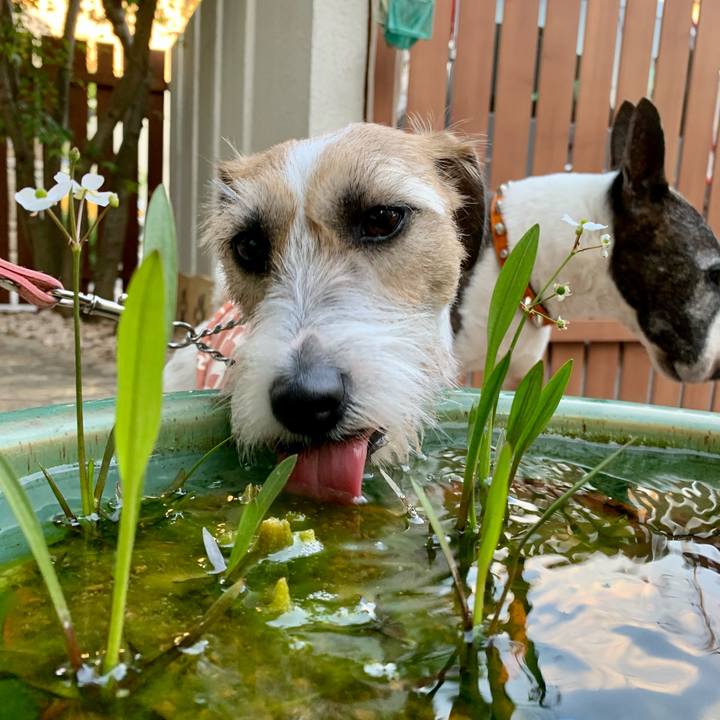 64ee3f52 b737 4456 affc bcc338d5f871 1619399237319