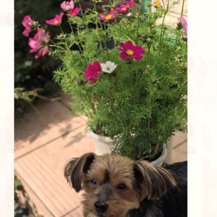 64ee6102 5d7a 44f8 888c c0c0908bb1da 1507790888170