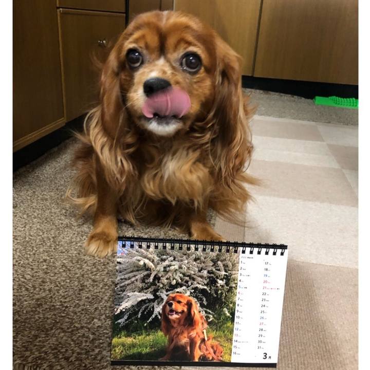 64ee6455 e1cd 4570 b3d7 320146cac5d3 1646086888428