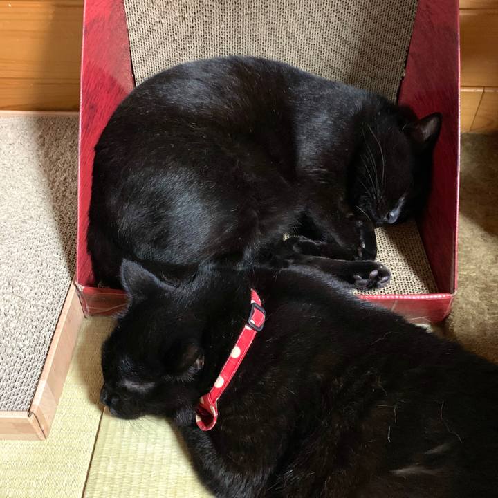 64ee9827 f404 43c7 b526 fc8ca5fe48a2 1594390080438