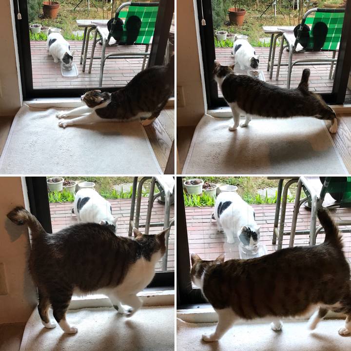 64eebafc 3302 43af b8e6 d127e96c260f 1514786089925