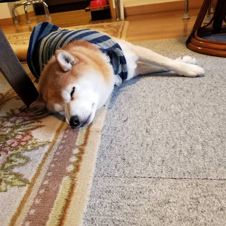 64eec641 803f 4c63 8f90 cd4637afe1be 1579127786343