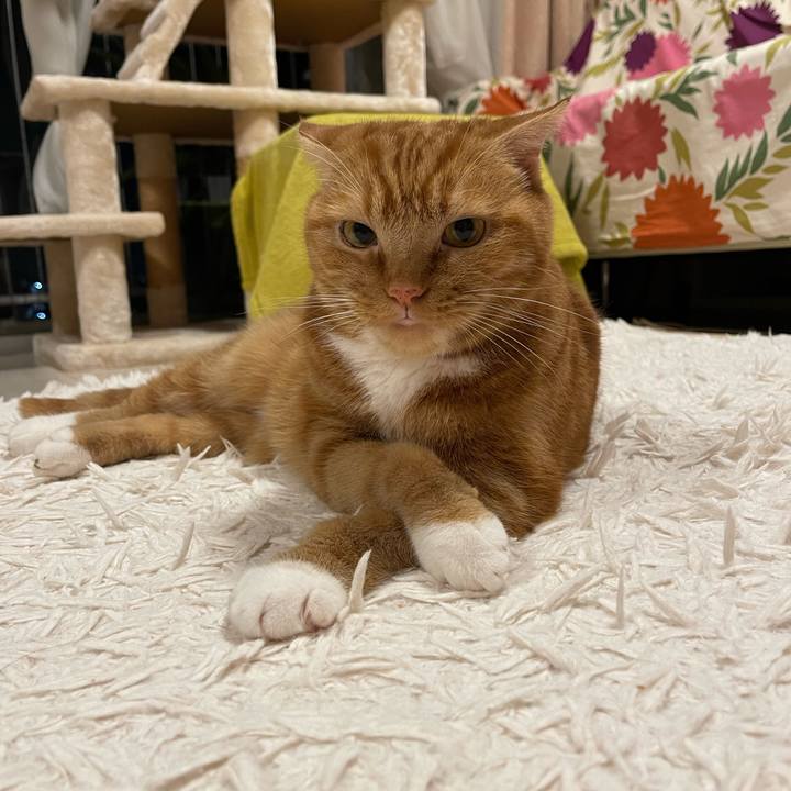 64ef114b 5b43 4d25 8752 1cca5d044a51 1663498924185