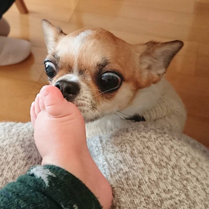 64ef425b 3879 475b 8886 c8f565e64382 1580604372138