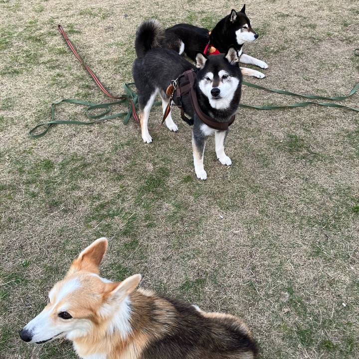 64ef6c56 f934 4828 8dc6 3c7408c47ab2 1766147213345