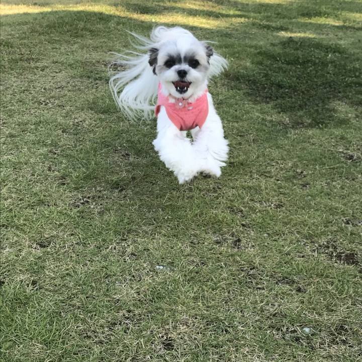 64ef6fd6 d864 43e4 8f42 e690f5d0b40d 1509131393705