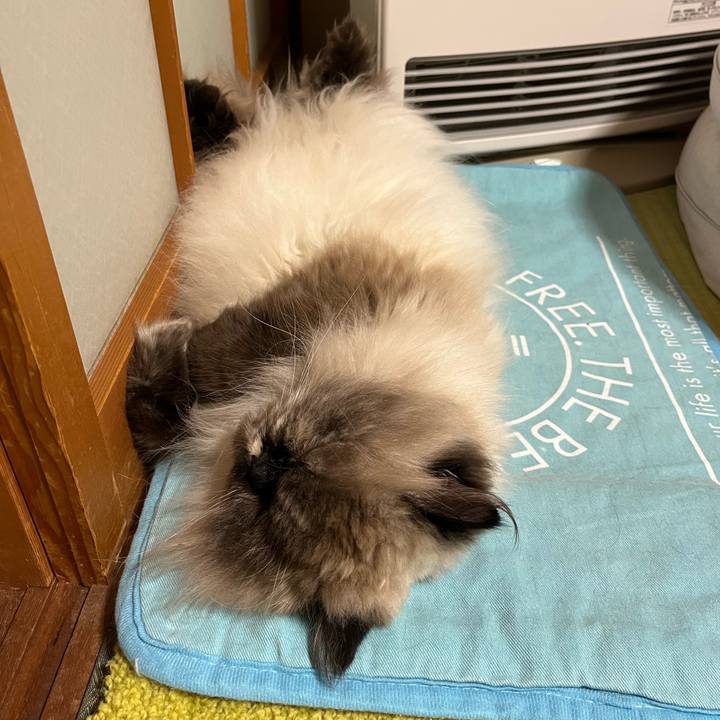 64ef7abd b95b 4925 a10c de8a7b63ad91 1718716274361