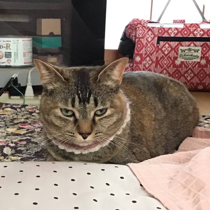 64efa896 f62c 4432 be7e 39312e00db77 1621415600788