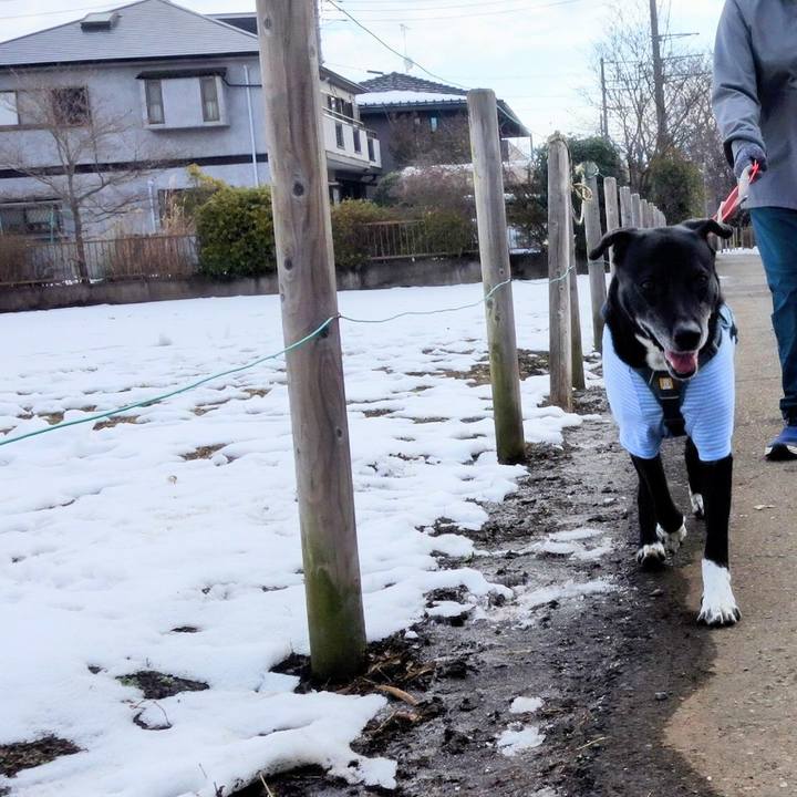 64efaca9 5109 4bfe b4a7 c87577558690 1707355609841