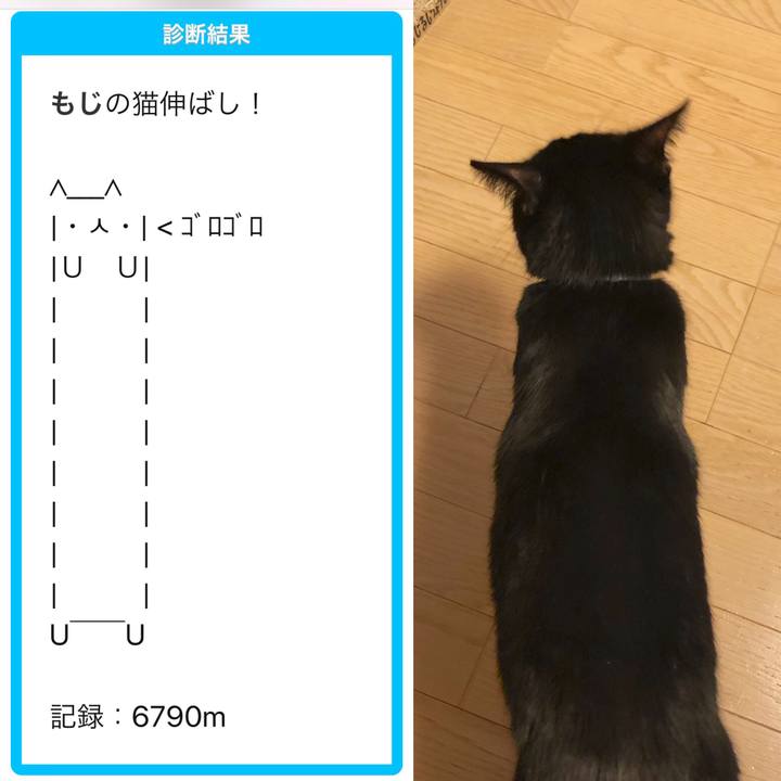 64efae12 e2ff 4ca4 9c3e 8358a5b4020b 1582205743951