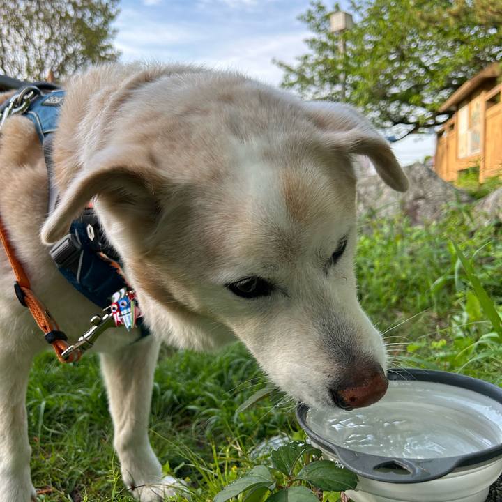 64efaf67 857c 426d b059 5426174facdc 1714113347808