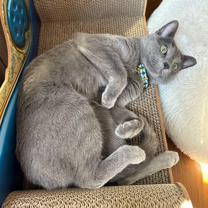 64efdcbb 755d 4b0f a716 7cf8b3a27c80 1683186421929