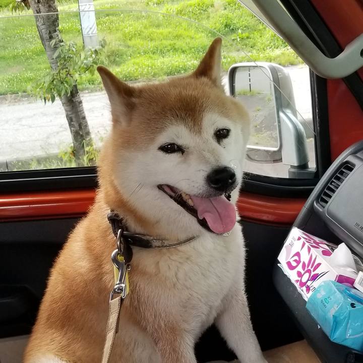 64f0075d 0eb1 4174 9f36 6f0d6fe2e19c 1658737358405