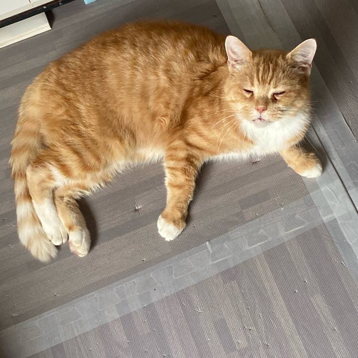 64f00c22 fb91 47ae a342 8fe8f6e2480b 1639455211782