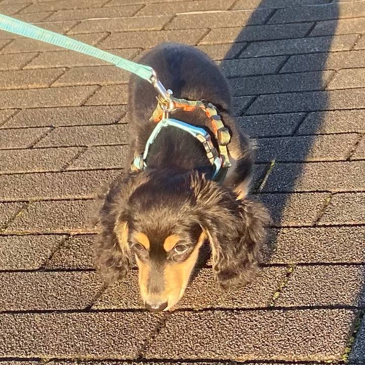 64f00dde 5570 4607 9aea 0e054420055c 1668639952119