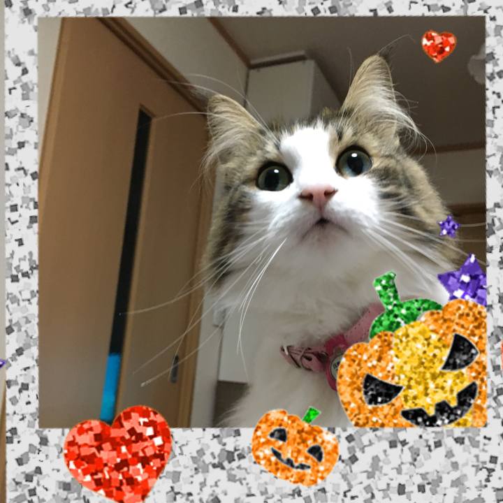 64f0134e 76cd 4127 899a dad2ddbdd034 1509432311498