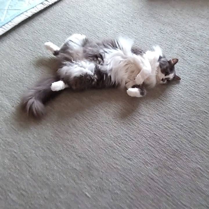 64f01ea7 be57 4790 9662 11a2be14c75e 1750577042956