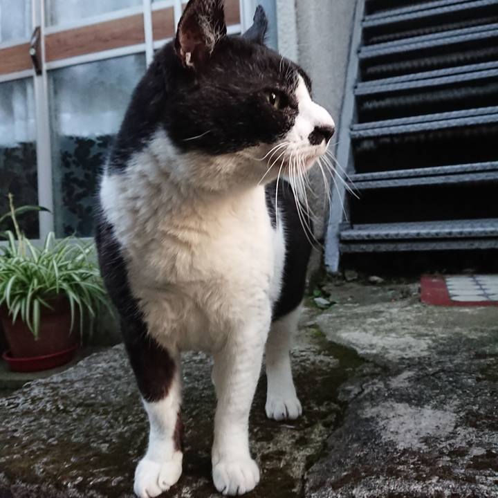 64f03e5c 8ed8 4d33 a6a2 b42c8fc08ef5 1586077782236