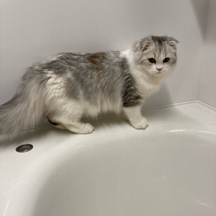 64f03fa3 2c51 4e41 ab3e acddb02bbf62 1602940228418