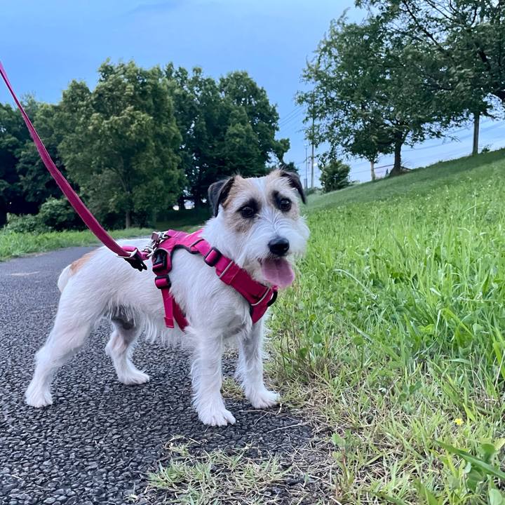 64f05a62 2e43 4d92 91c1 6f9db641bce4 1656330073519