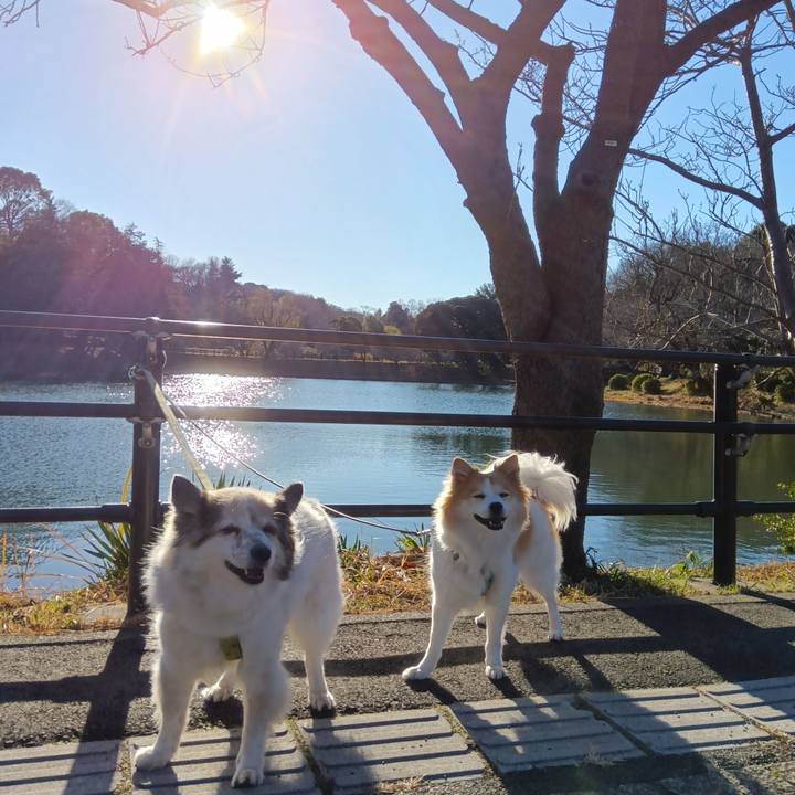 64f05d2b 5ec2 4f3a 962d ab03caffab88 1706705381674