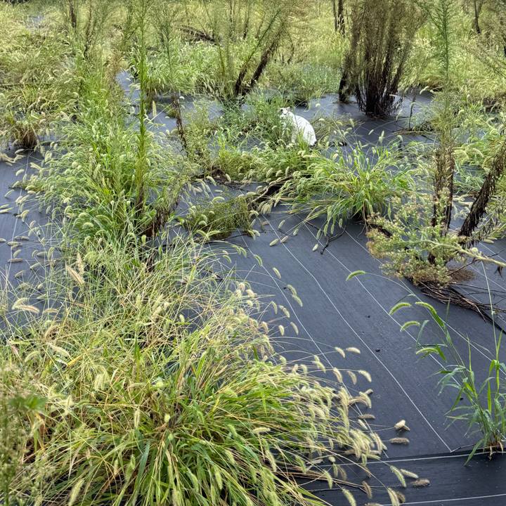 64f05d85 4faa 4b7b bdd2 4fd6c5d129ea 1757646072087