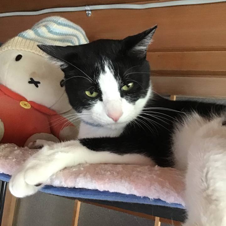 64f07944 2a1c 4fb3 b79d f0f9f989c2a6 1746955254797