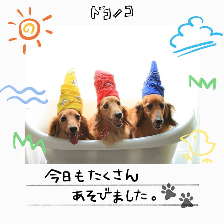 64f09e84 1861 4398 a473 fe7a847e71f0 1755407095955