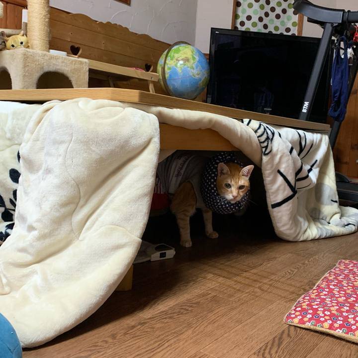 64f0f28a 39e3 4a62 a1e0 ffc5a97a5d95 1631618998920