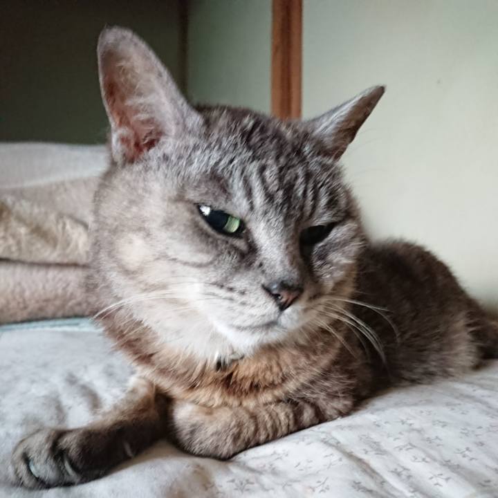 64f100b7 420d 48f5 b7da 126eef26fed4 1565989323445